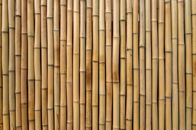 L’era del bambù?